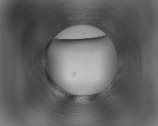 X0000073990179200608211051