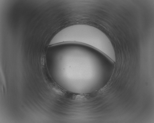 X0000073990180200608211051