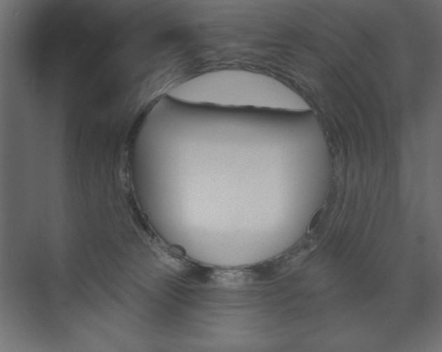 X0000073990181200608211051