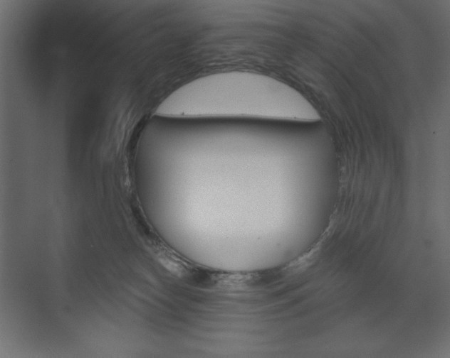 X0000073990182200608211051