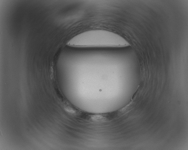 X0000073990183200608211051