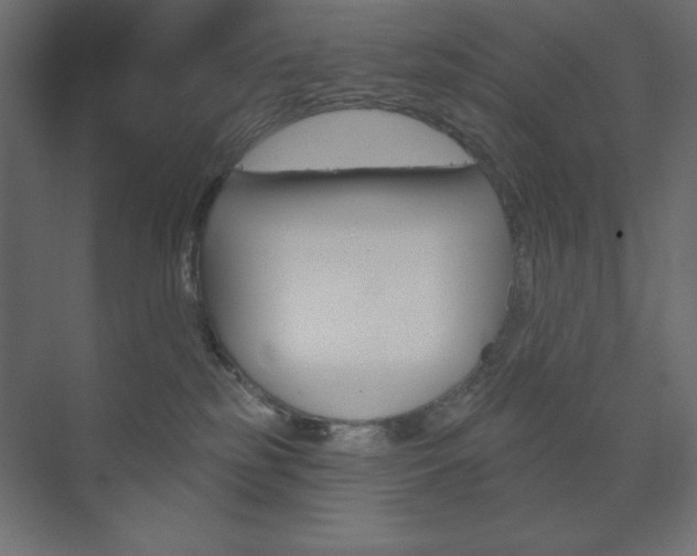 X0000073990185200608211051