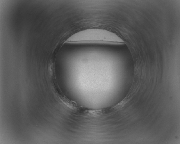 X0000073990188200608211051