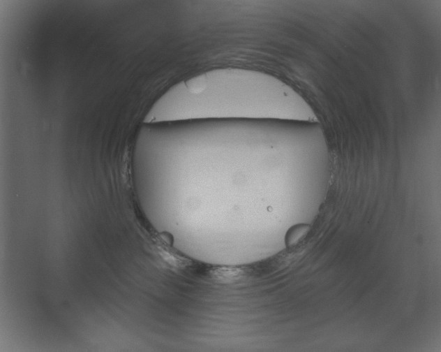 X0000073990189200608211051