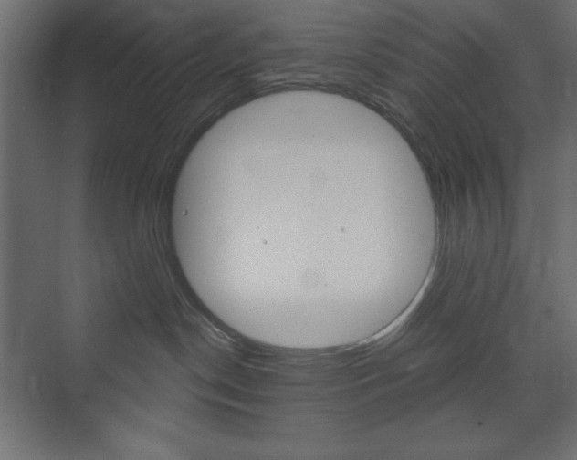 X0000073990190200608211051