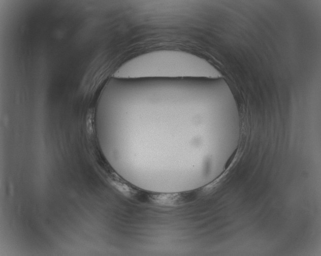 X0000073990191200608211051