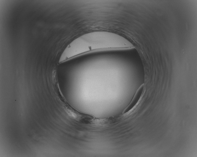 X0000073990192200608211051