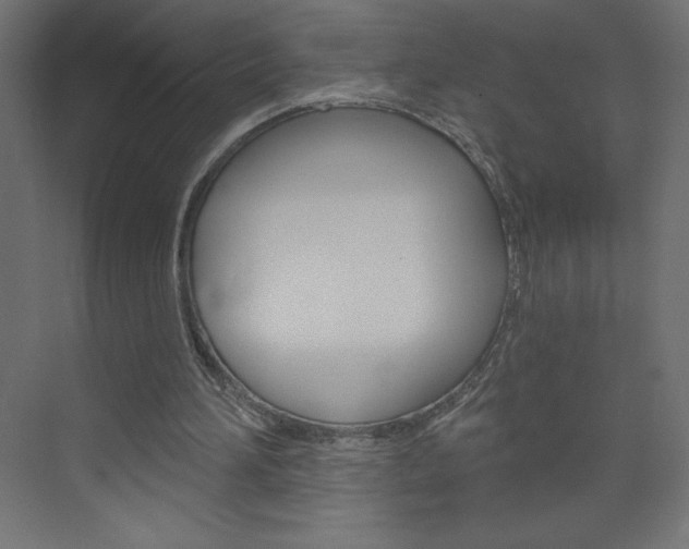 X0000073990196200608211051