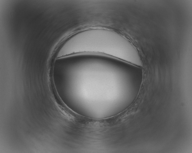 X0000073990197200608211050