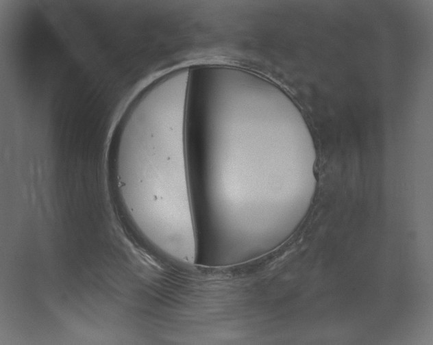 X0000073990200200608211050