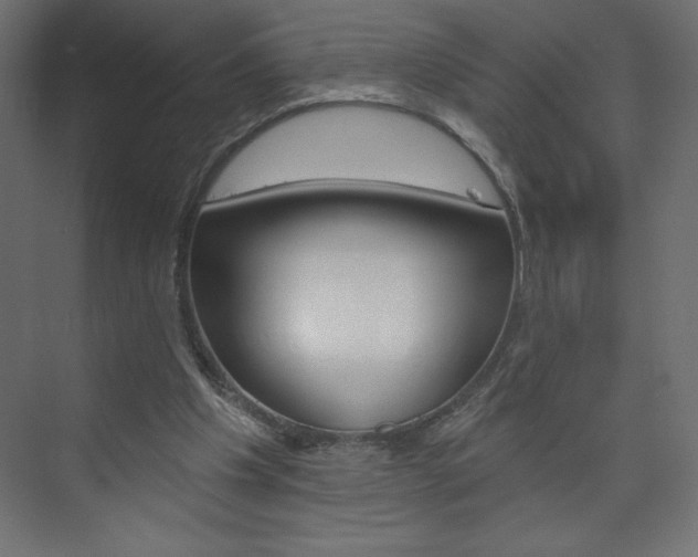 X0000073990201200608211050