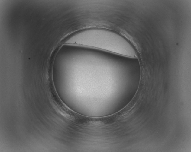 X0000073990203200608211050