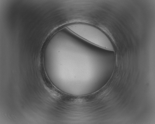 X0000073990204200608211050