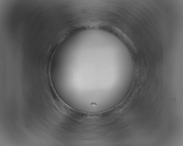 X0000073990209200608211050