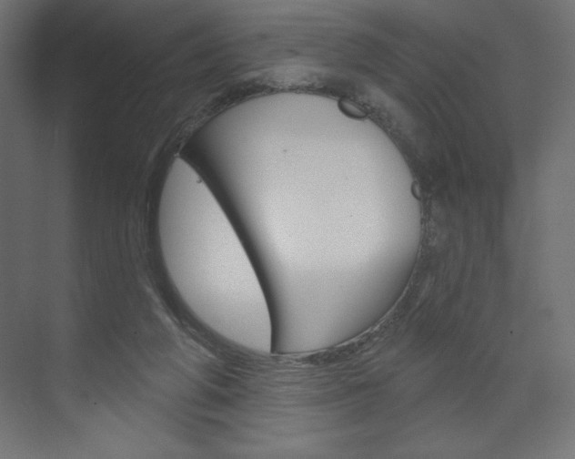 X0000073990210200608211050