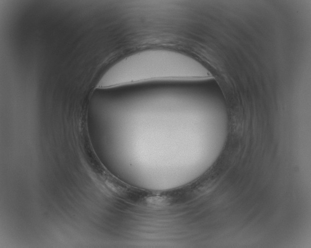 X0000073990216200608211050