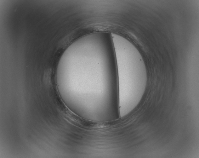 X0000073990217200608211050