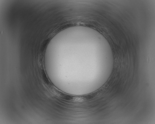 X0000073990218200608211050