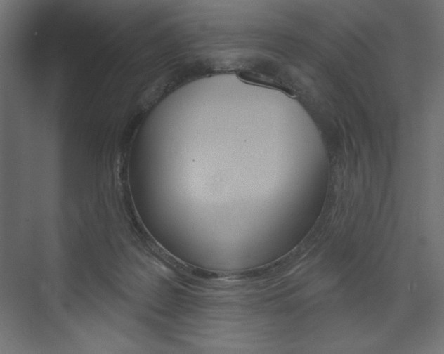 X0000073990219200608211050