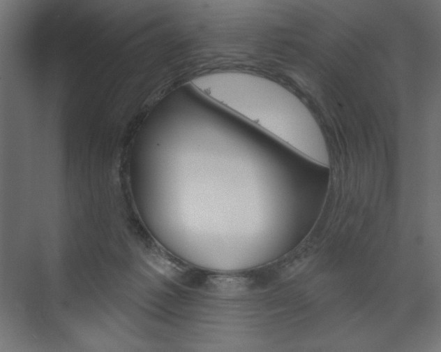 X0000073990221200608211050