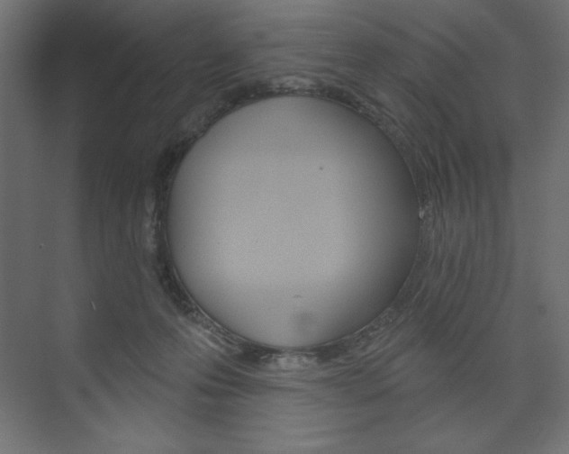 X0000073990223200608211050