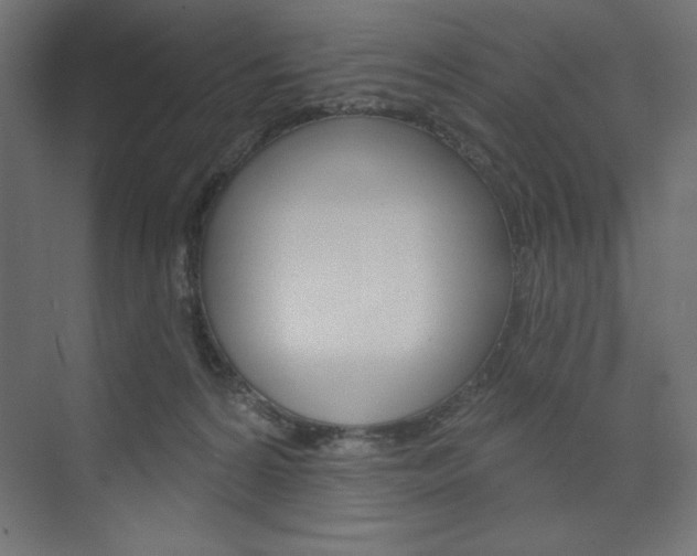 X0000073990224200608211050