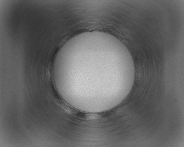 X0000073990226200608211050