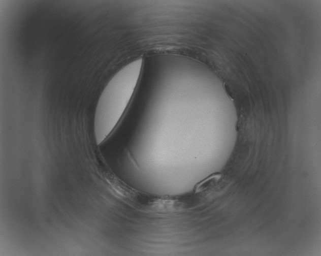 X0000073990227200608211050