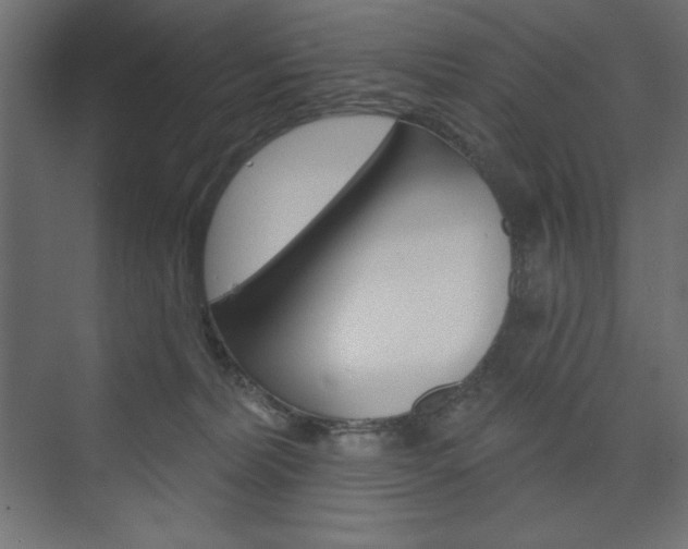 X0000073990228200608211050