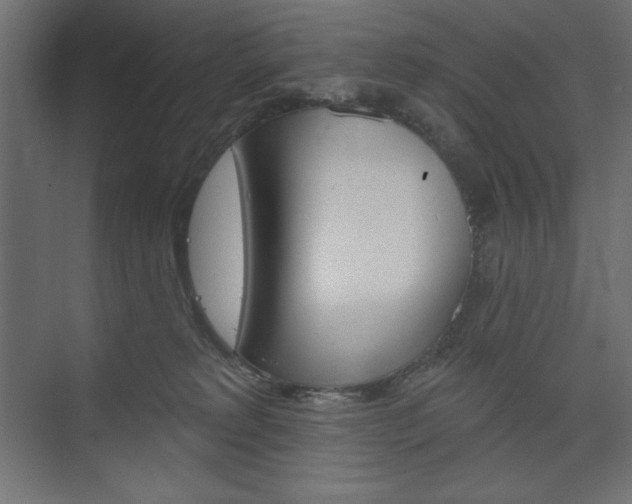 X0000073990229200608211050