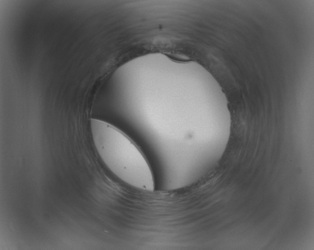 X0000073990232200608211050