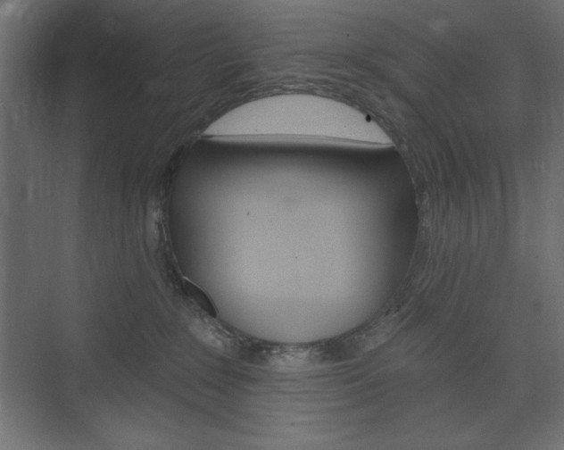 X0000073990235200608211050