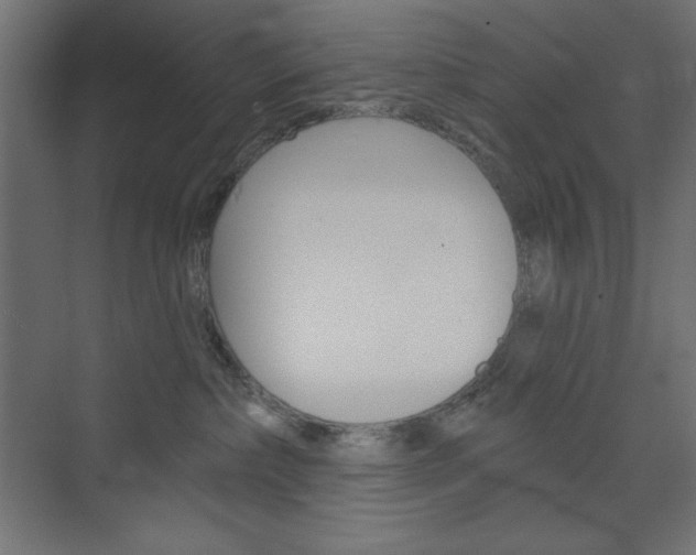 X0000073990236200608211050