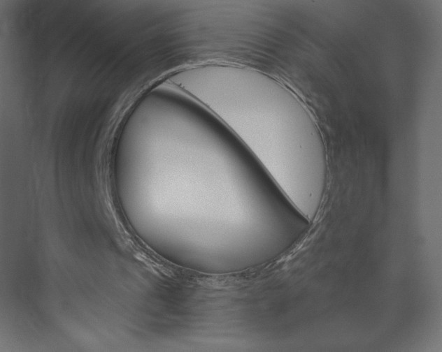 X0000073990241200608211049