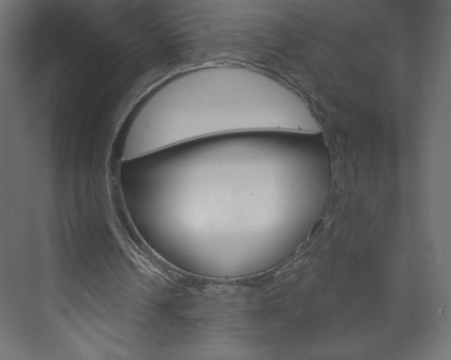 X0000073990242200608211049