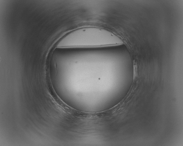 X0000073990243200608211049