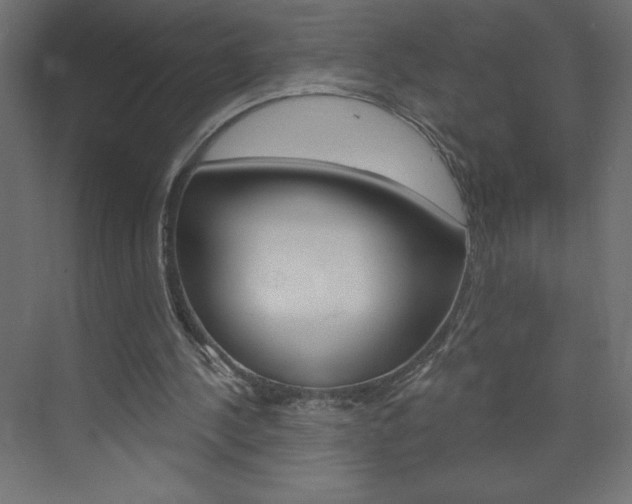 X0000073990244200608211049