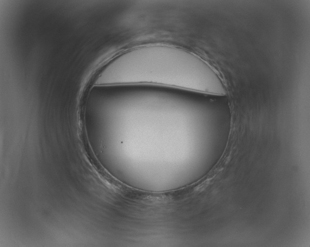 X0000073990245200608211049