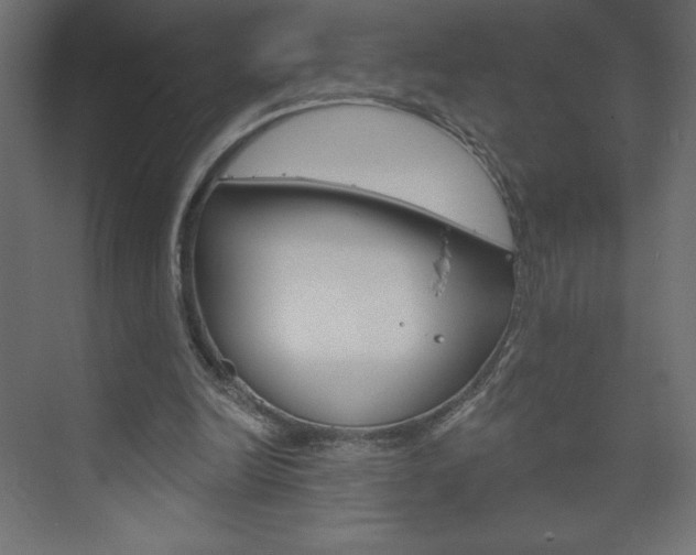 X0000073990246200608211049