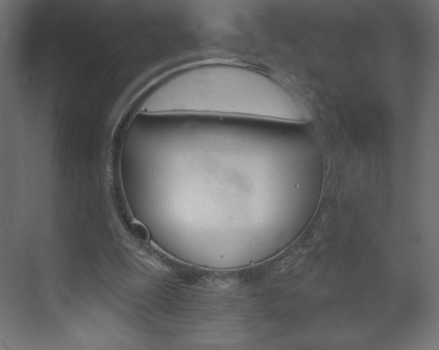 X0000073990247200608211049