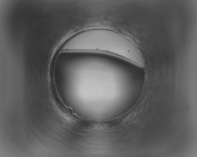 X0000073990248200608211049