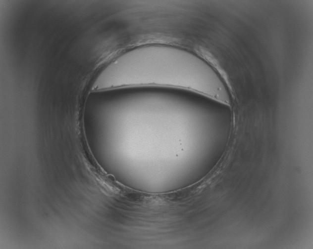 X0000073990249200608211049