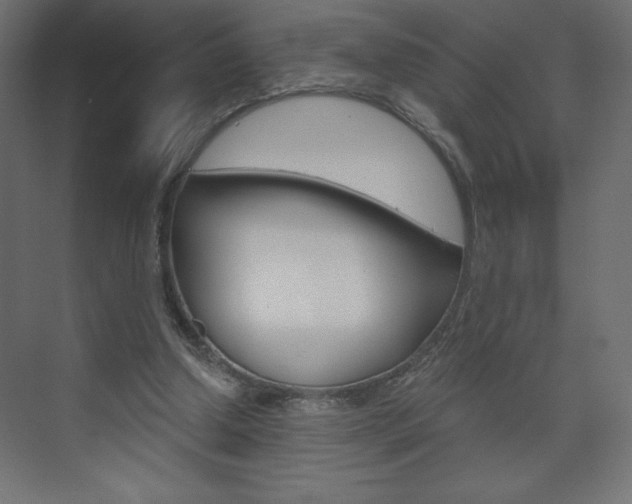 X0000073990250200608211049