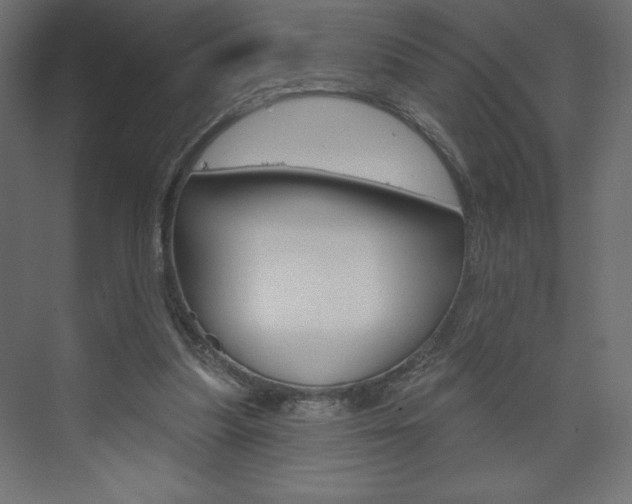 X0000073990251200608211049