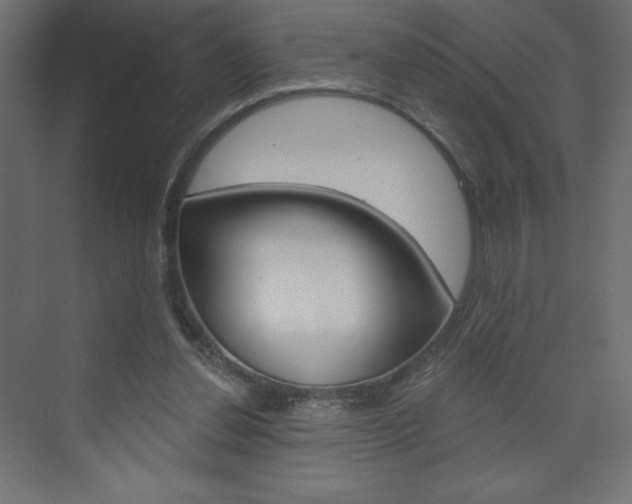 X0000073990252200608211049