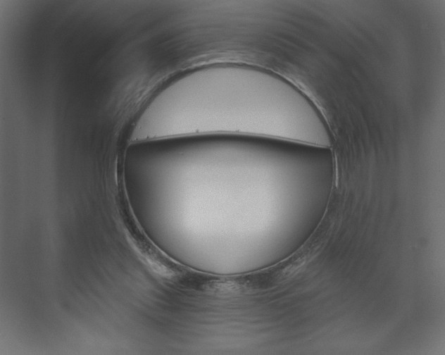 X0000073990253200608211049