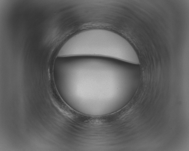 X0000073990254200608211049