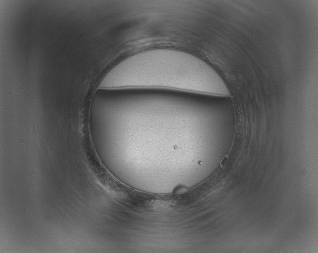 X0000073990255200608211049