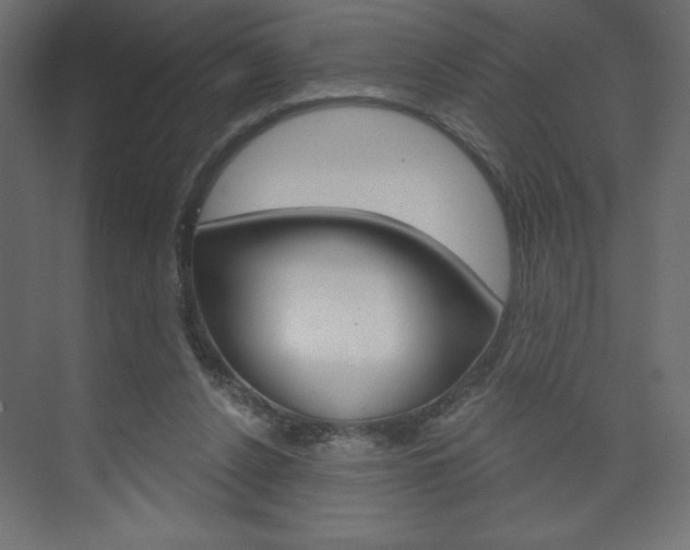 X0000073990256200608211049