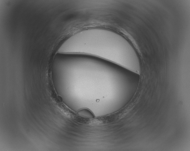 X0000073990257200608211049